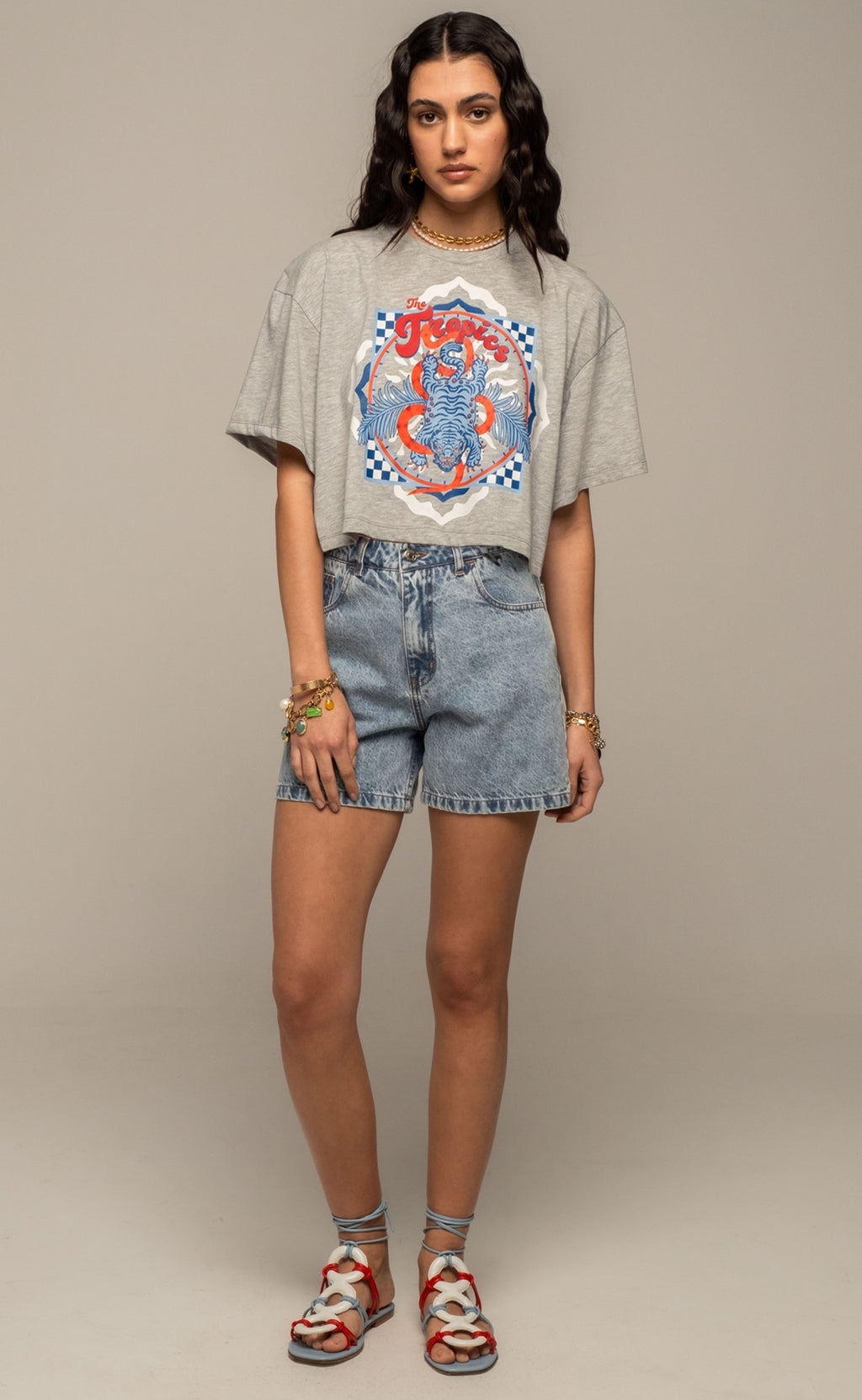 Peace And Chaos Voyage Crop T-Shirt